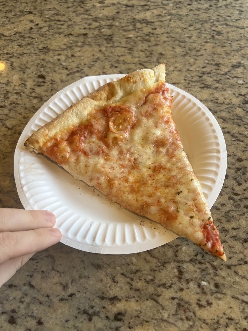 Cheese Pizza Slice on Plate